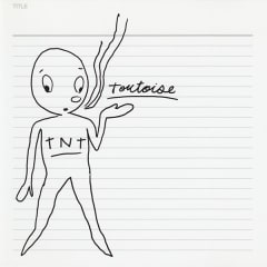 VINILO TORTOISE / TNT