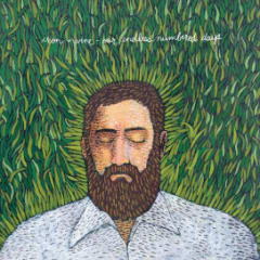 VINILO IRON & WINE  OUR ENDLESS NUMBERED DAYS