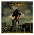 VINILO CERATI,GUSTAVO FUERZA NATURAL