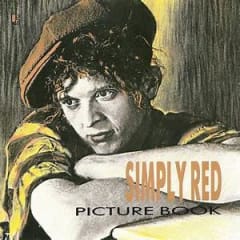 VINILO SIMPLY RED PICTURE BOOK