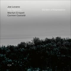 VINILO LOVANO,JOE Garden Of Expression