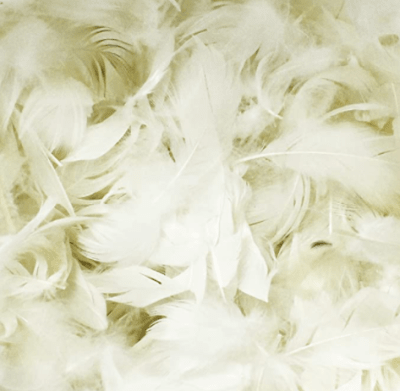 RELLENO DE PLUMAS DE PATO1