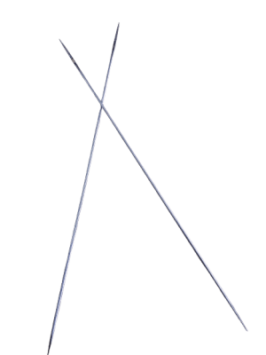 AGUJA RECTA 2 PUNTAS DE 12