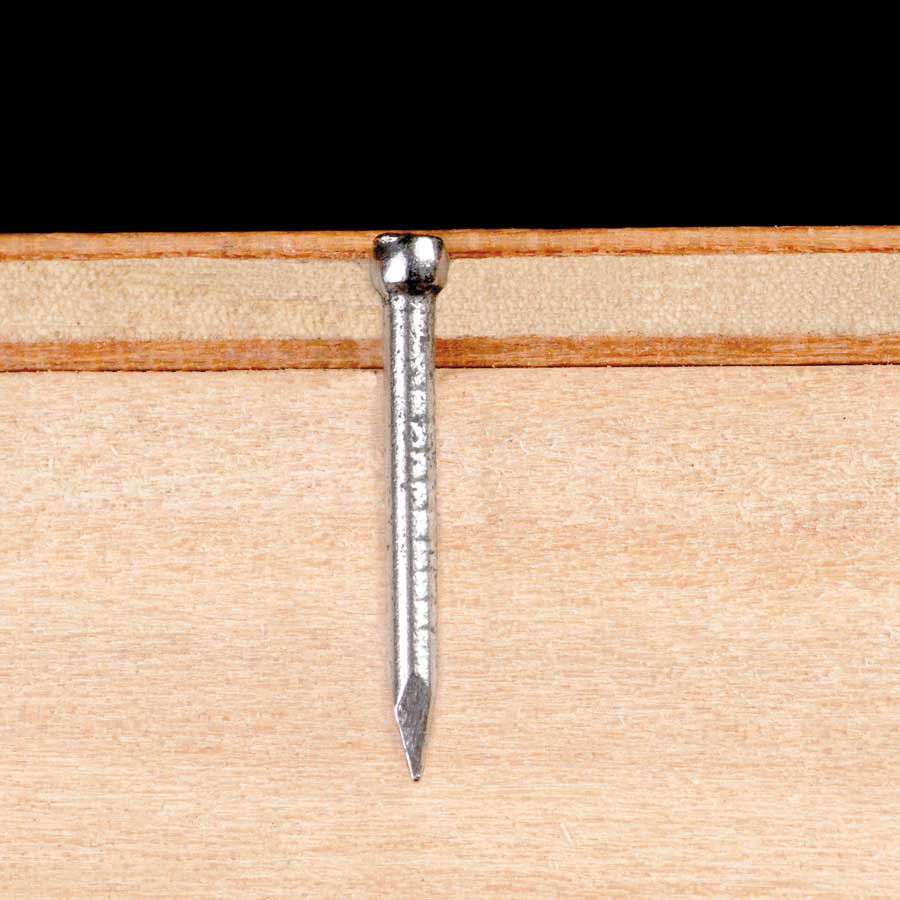 CLAVOS PUNTAS 21/2