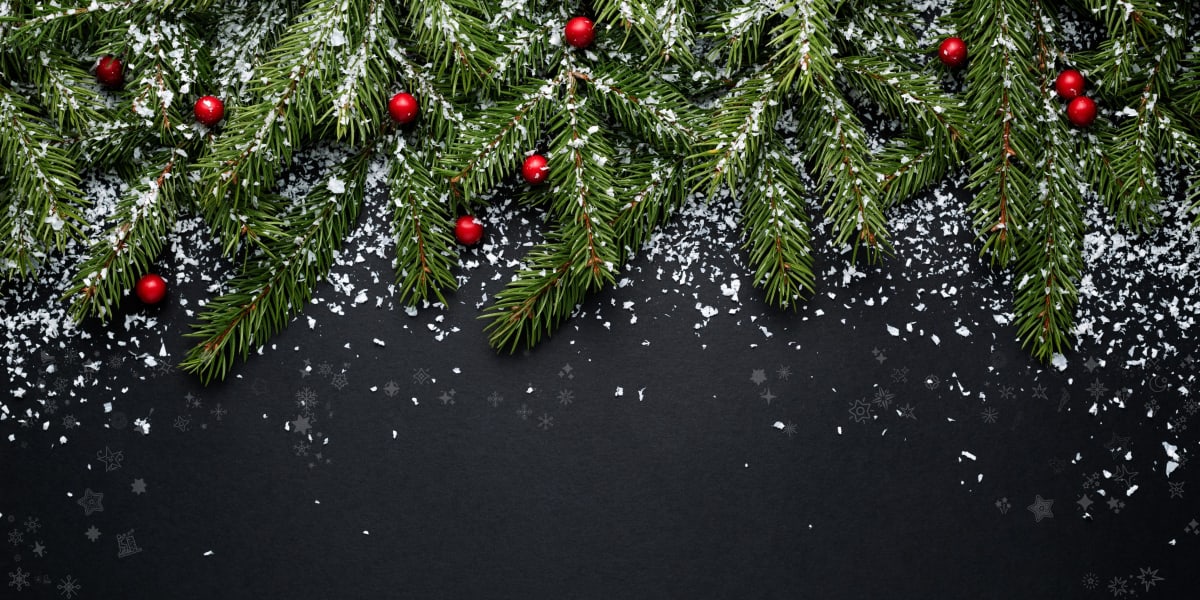 Distribución autorizada 