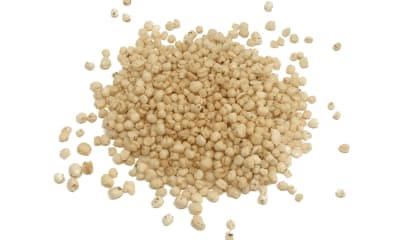 Pipoca de Quinoa Natural - 100gr