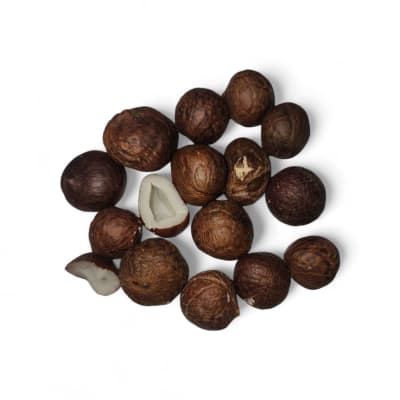 Coquitos de Palma Chilena