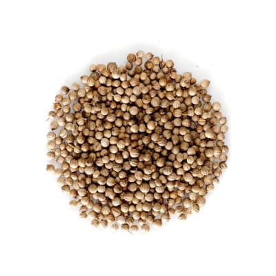 Semillas De Cilantro Caja 5 Kg Por Mayor