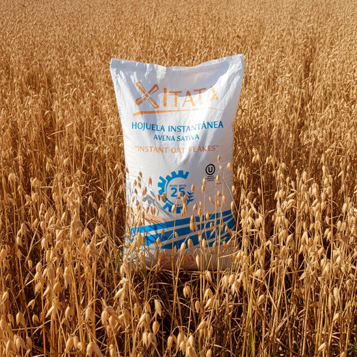 Avena Instantanea 5 Kg5