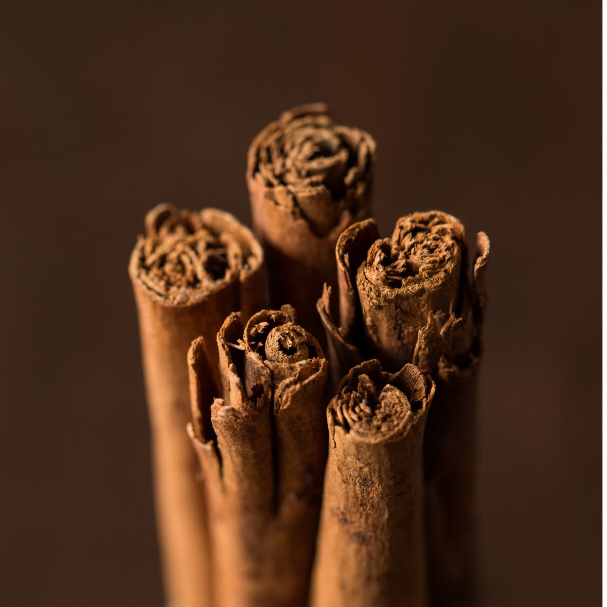 Canela Ceylan Entera2