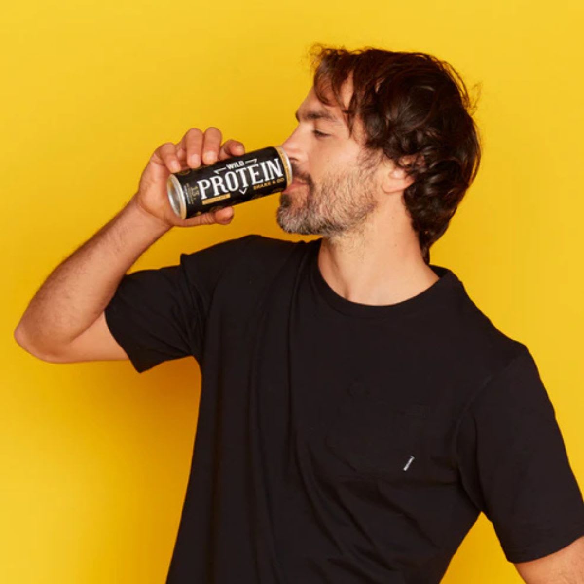 Wild Protein Shake & Go Chocolate 310 ml X 12 UN2