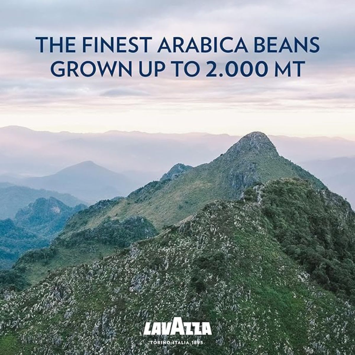 Lavazza Cafe Molido Qualita Oro Mountain Grown 100% Arabica2