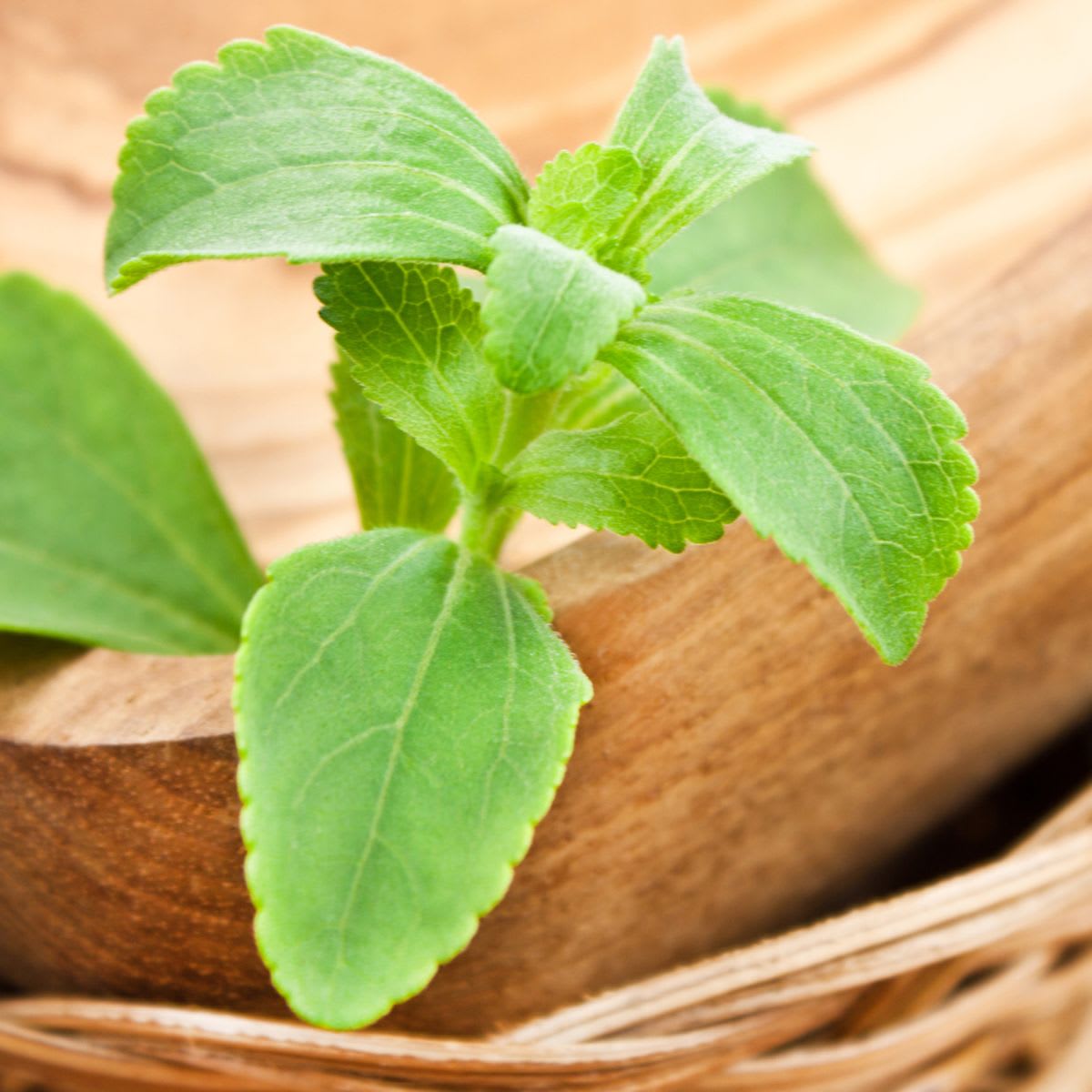 Nature Stevia Liquida Full Concentrada2