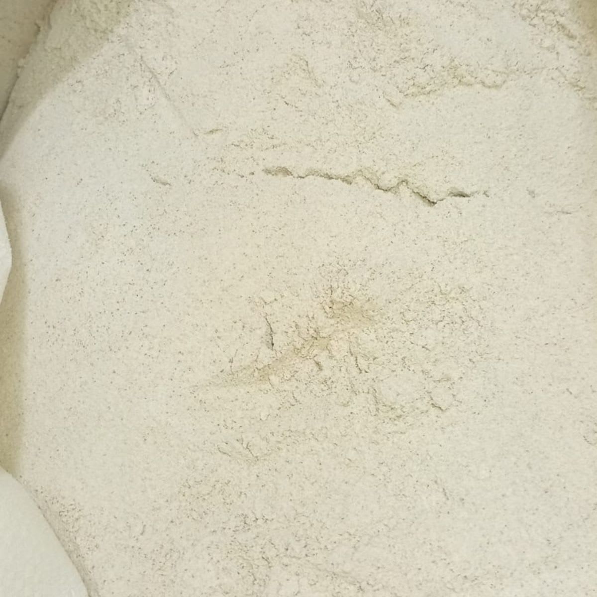 Harina de Centeno 25 Kg3