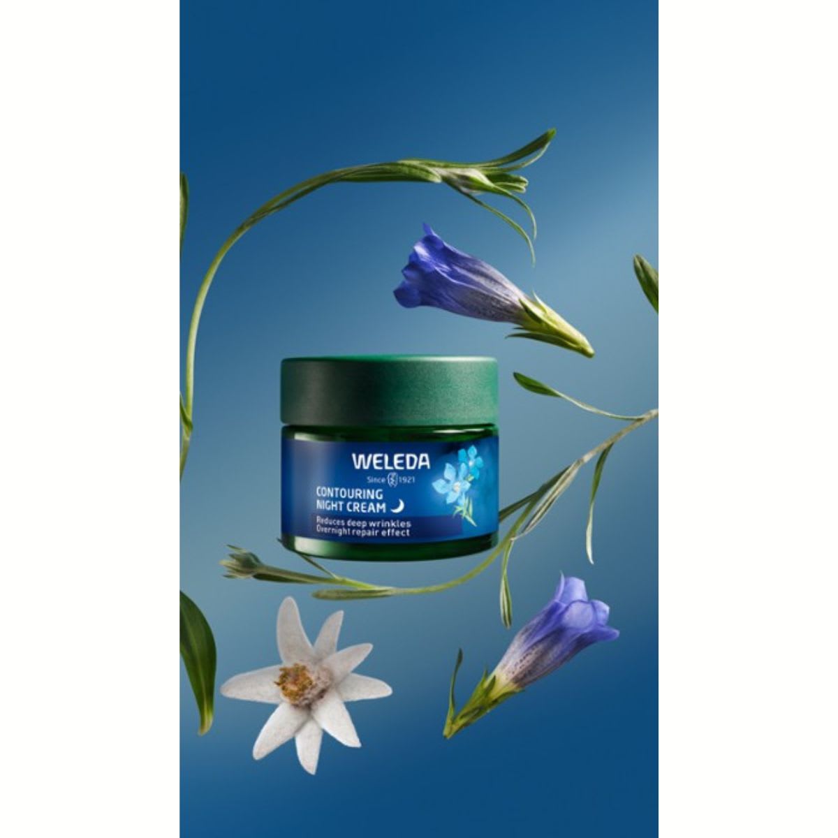 Weleda Genciana Azul y Edelweiss Crema de Noche Redensificante Facial +503
