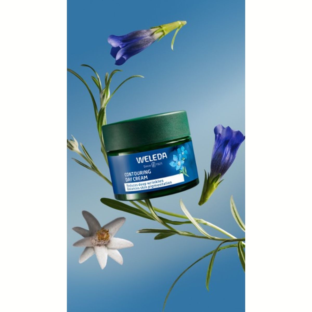 Weleda Genciana Azul y Edelweiss Crema de Dia Redensificante Facial +504
