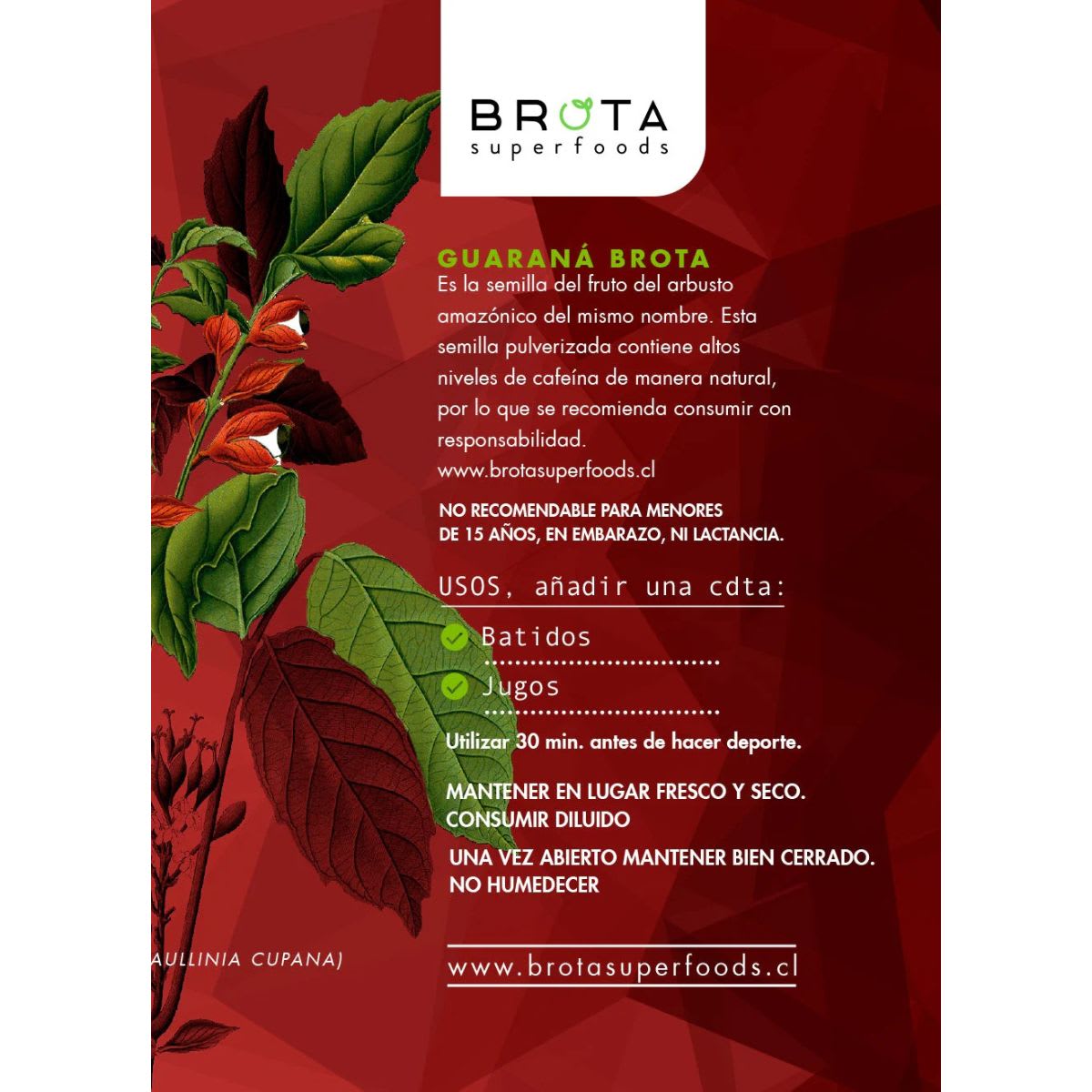 Brota Guarana en Polvo Energy3