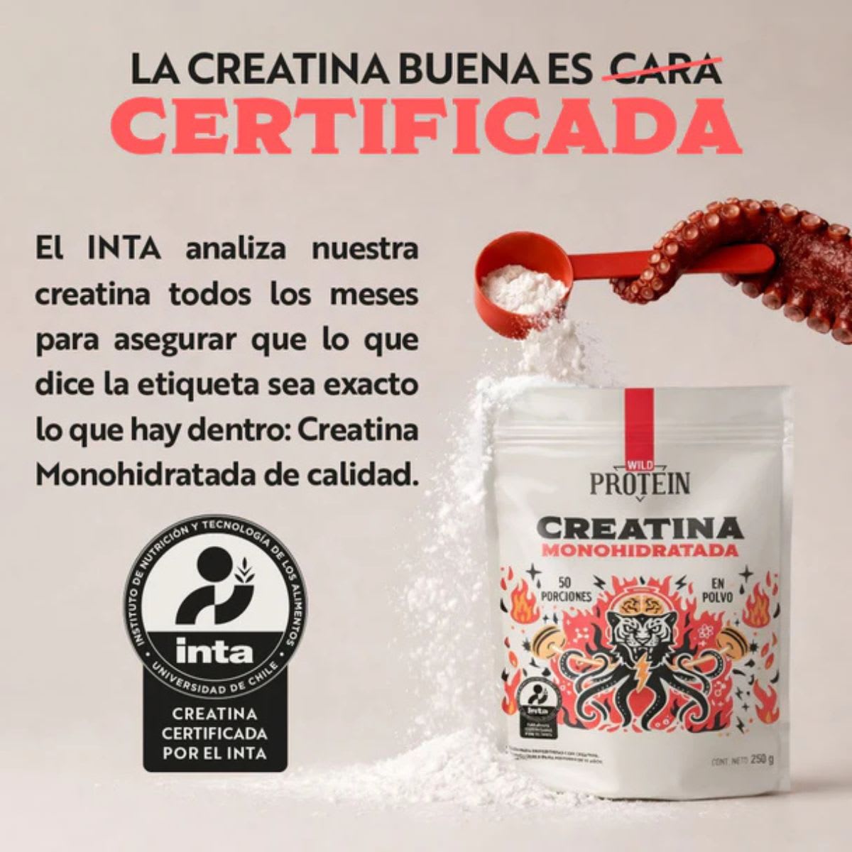 Wild Foods Creatina en polvo4