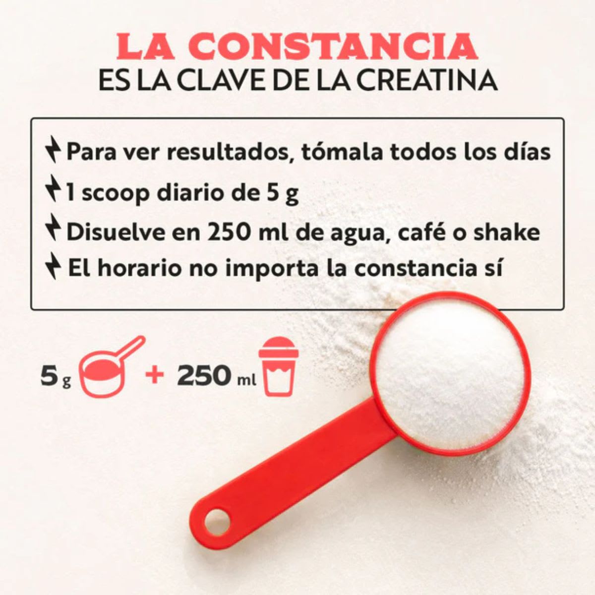 Wild Foods Creatina en polvo5