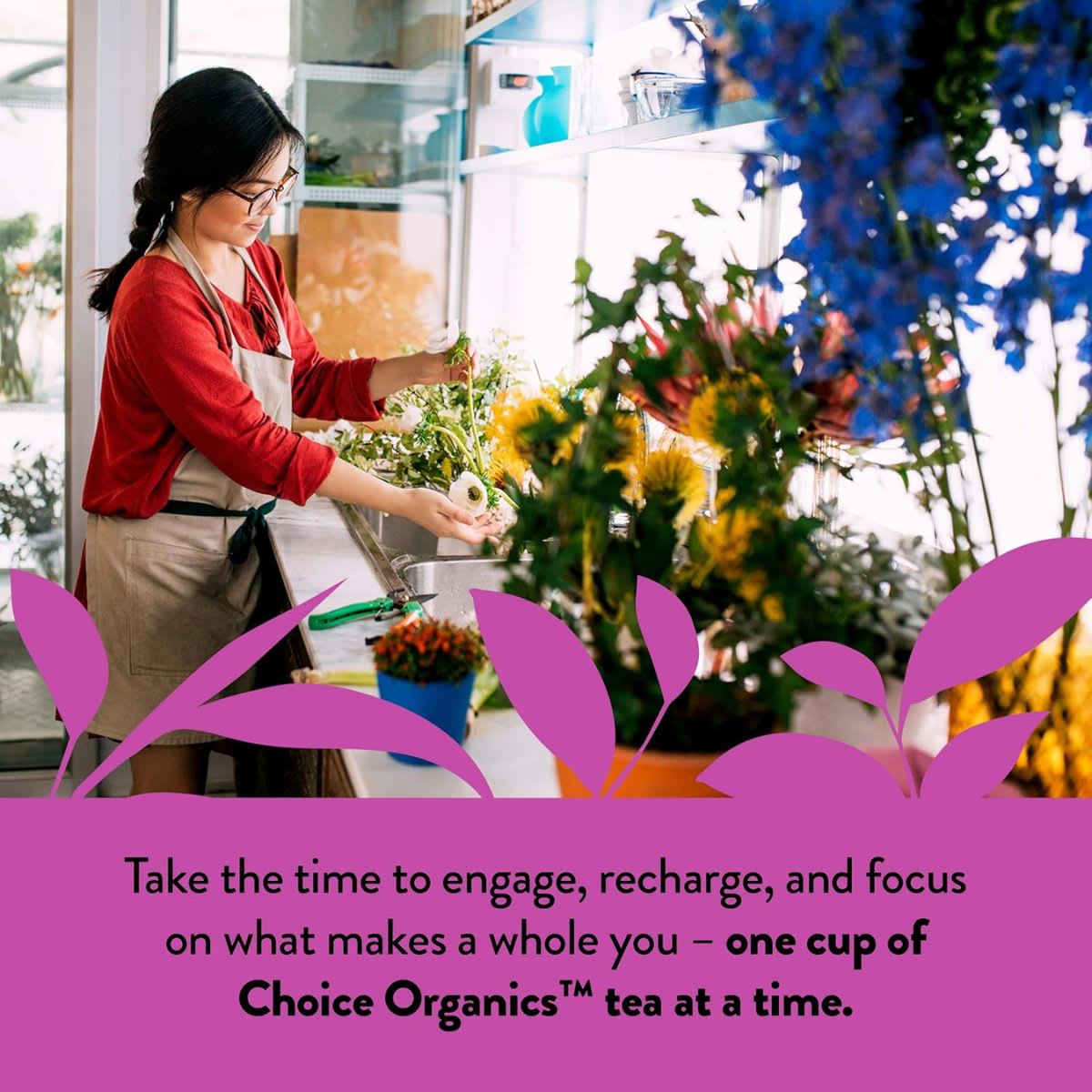 Choice Te Darjeeling Organico4