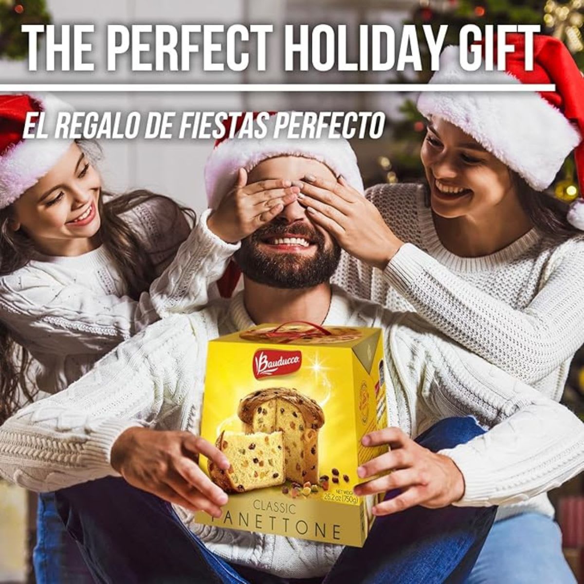 Bauducco Panettone de Frutas4
