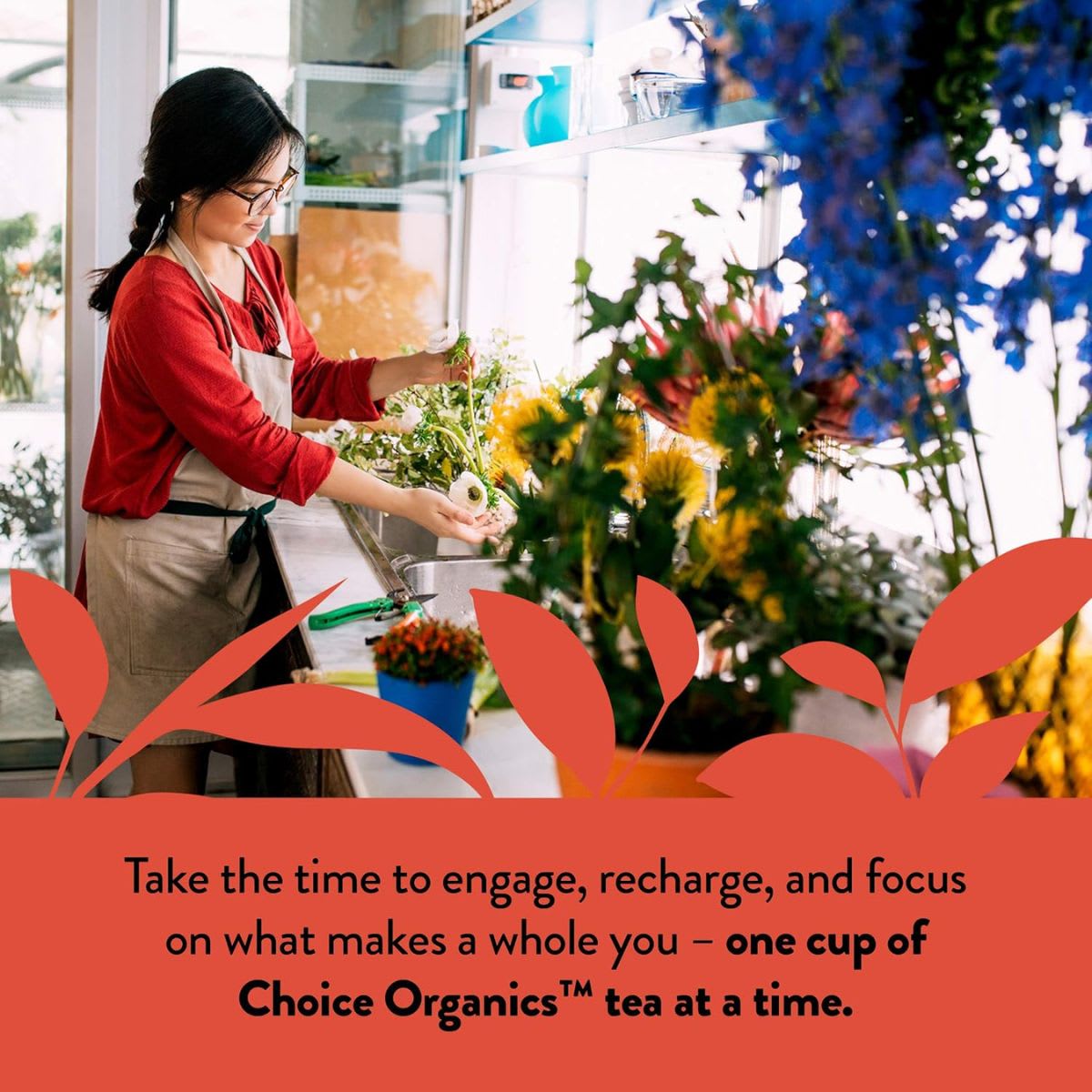 Choice Te Rooibos Vanille Organico4