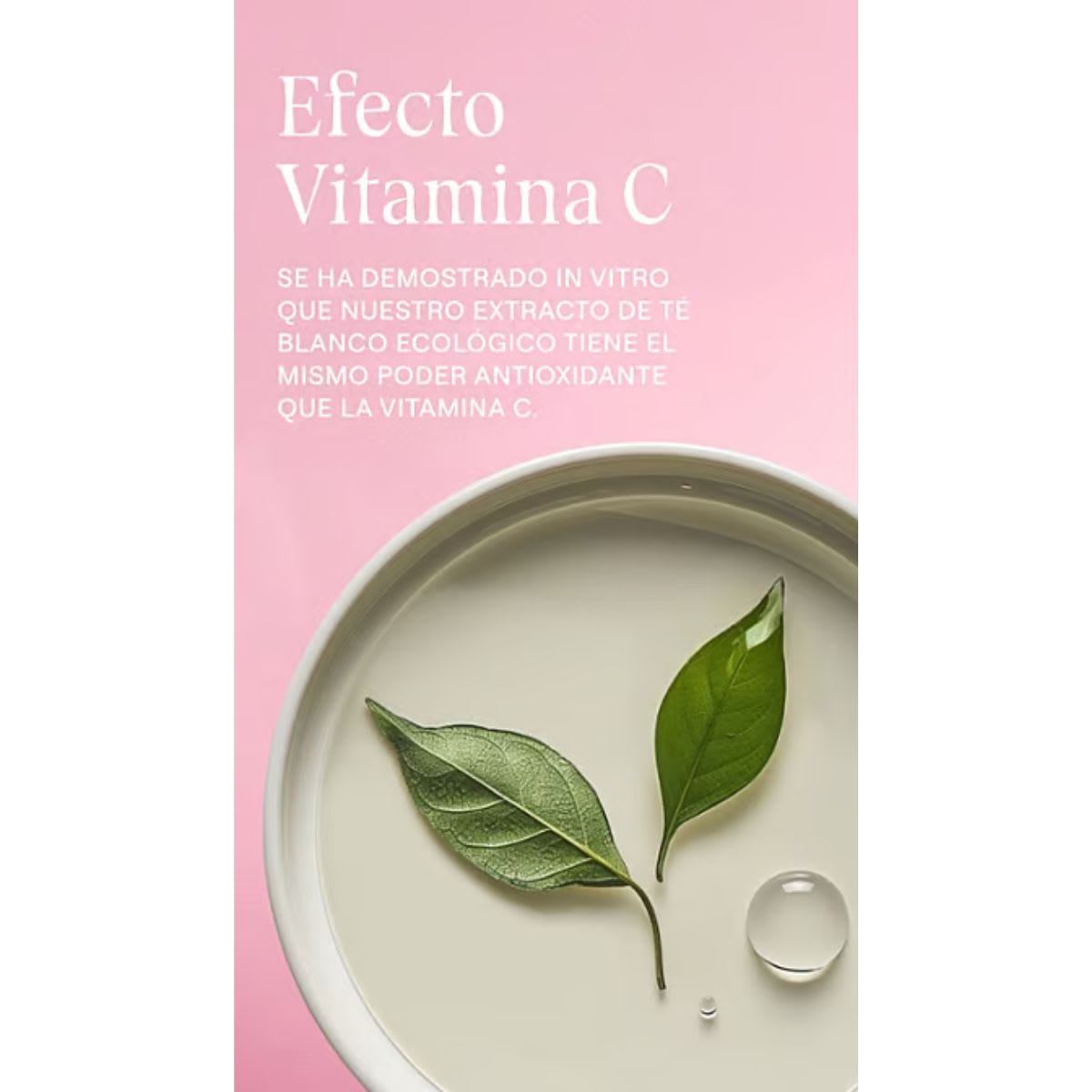 Weleda Rosa Mosqueta Crema de Noche Alisante Facial +305