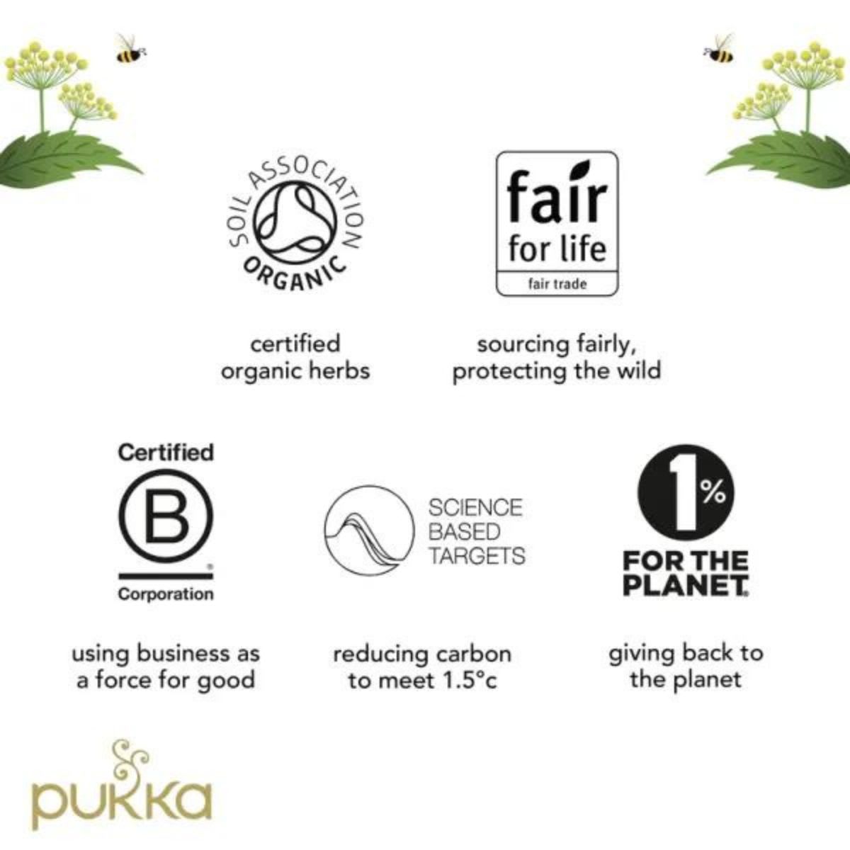 Pukka Wild Apple & Cinnamon4