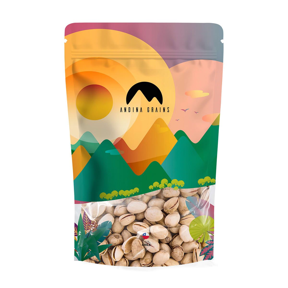 Pistachos Con Sal4