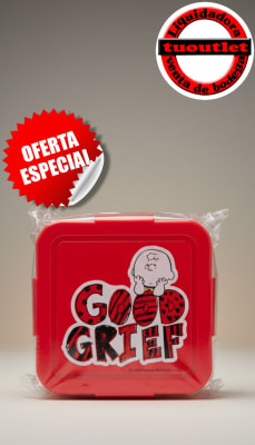 CONTENEDOR SNOOPY CUADRADO1