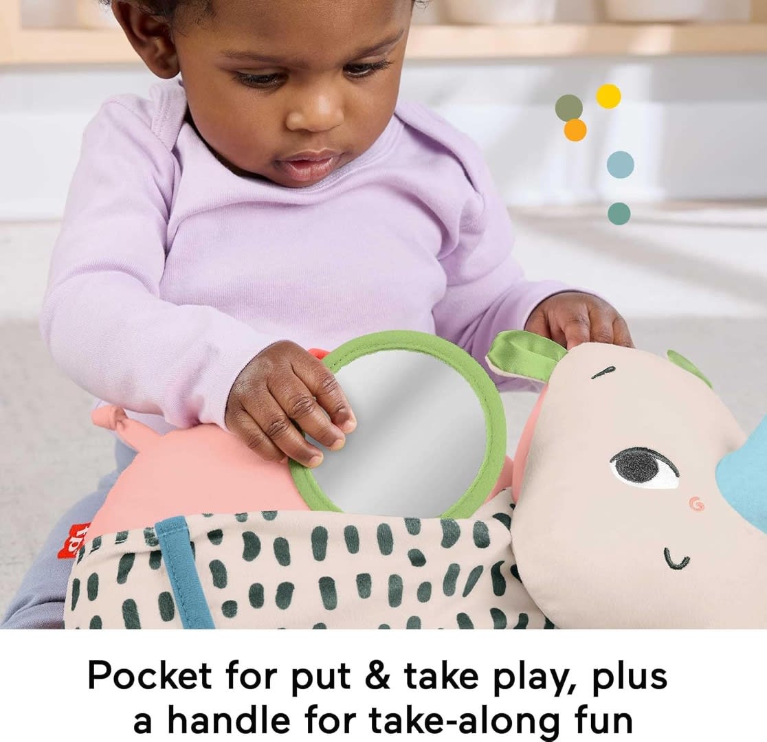 RINOCERONTE ANIMADO TUMMY TIME FISHER PRICE3