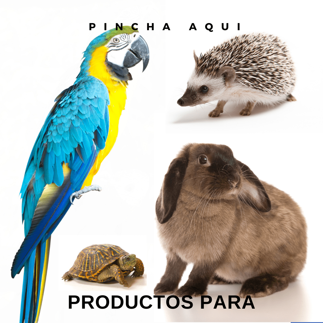 exoticos