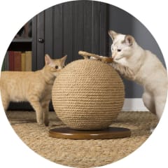 RASGUÑADOR ESFERA C/PLUMAS