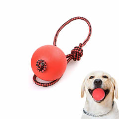 JUGUETE PERRO C/TIRADOR PELOTA MASISA