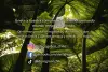 banner25664.webp