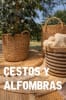 Inicio
