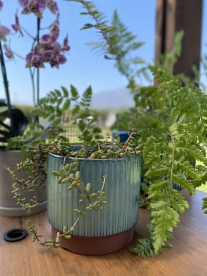 Macetero Terracota Indigo M 17X17X15 cm