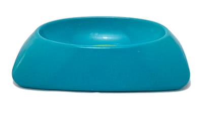 Plato Ecopet Ovalado Pequeño Turquesa 17,8x17,8x3,6 cm