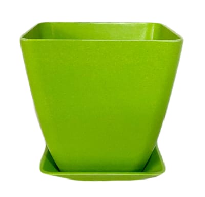 Set Macetero con plato bio bamboo cuadrado verde 13,3x13,3x12,4 cm