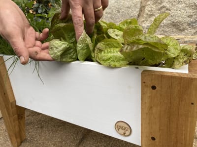 Jardinera Huerto 60X30X32 Blanca