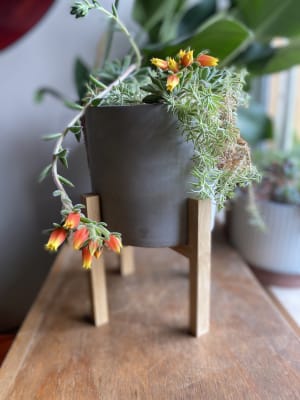 Macetero Pedestal Cemento