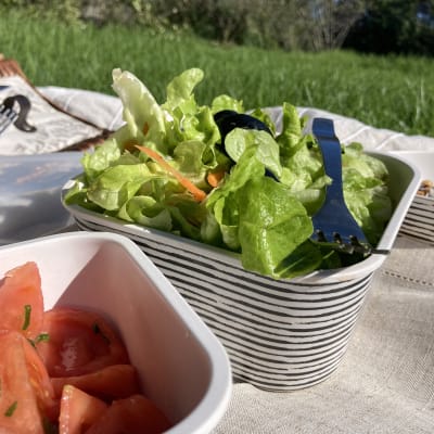 Contenedor Hermetico Bio Rayas 19X14X7 Cm