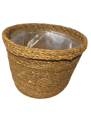 MACETERO CANASTO RAMA 20X15 XS