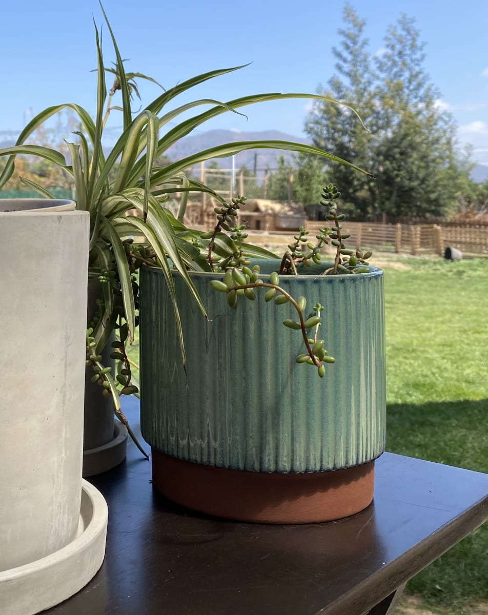 Macetero Terracota Indigo M 17X17X15 cm3