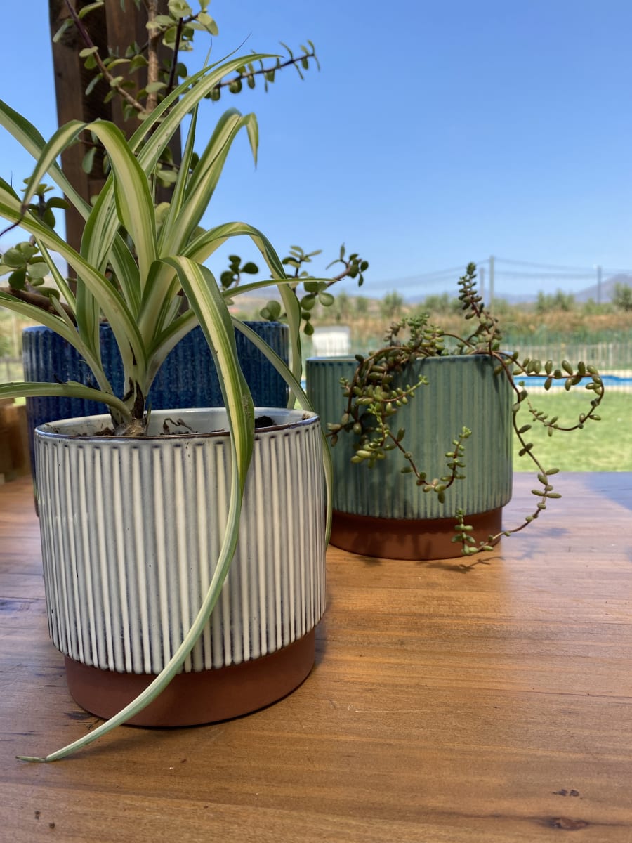 Set 2 Maceteros Terracota Indigo S 14x14x12cm y M 17X17X15cm6