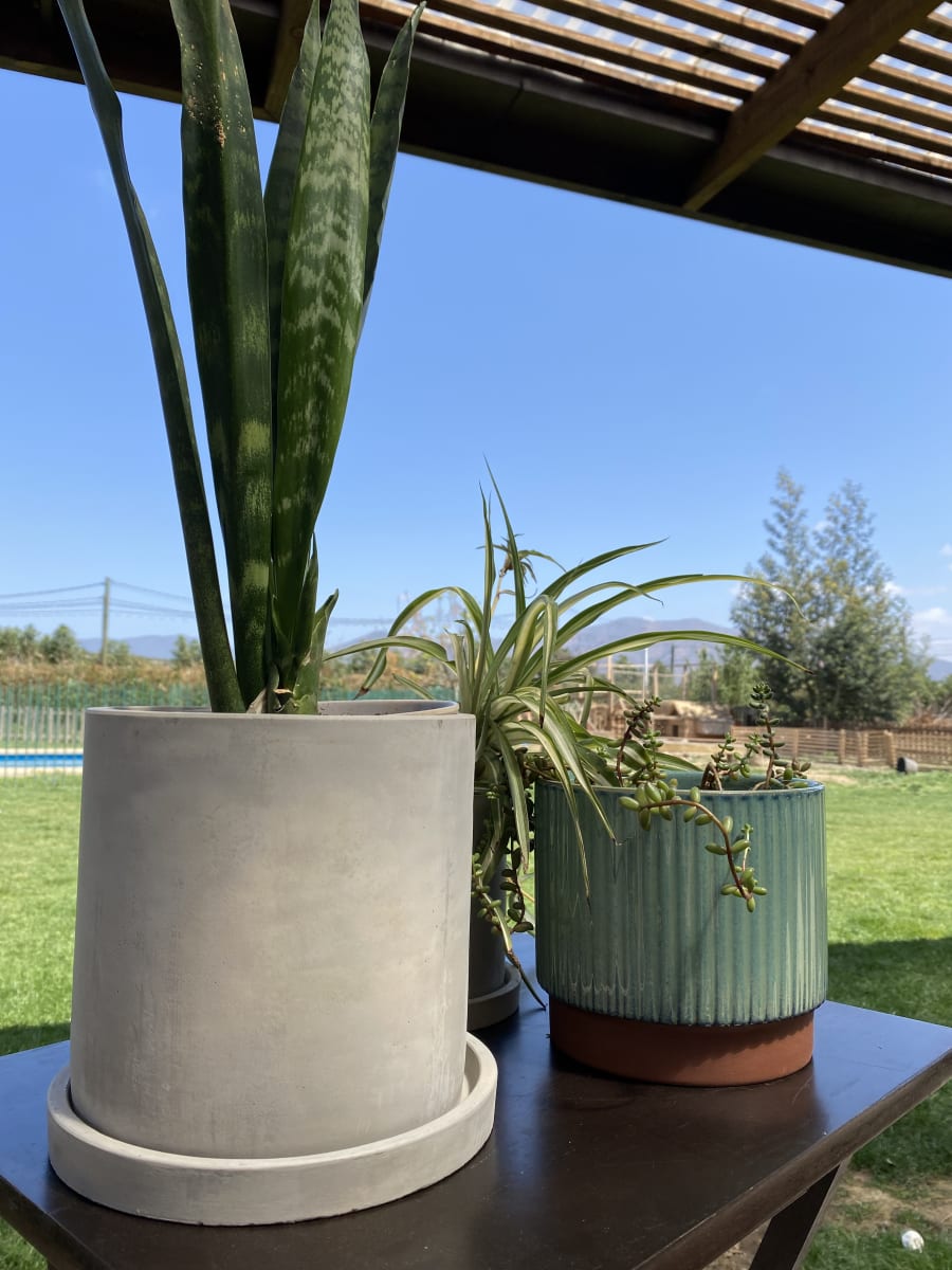 Set 2 Maceteros Cemento S 13x13x13 cm y L 18x18x18cm4