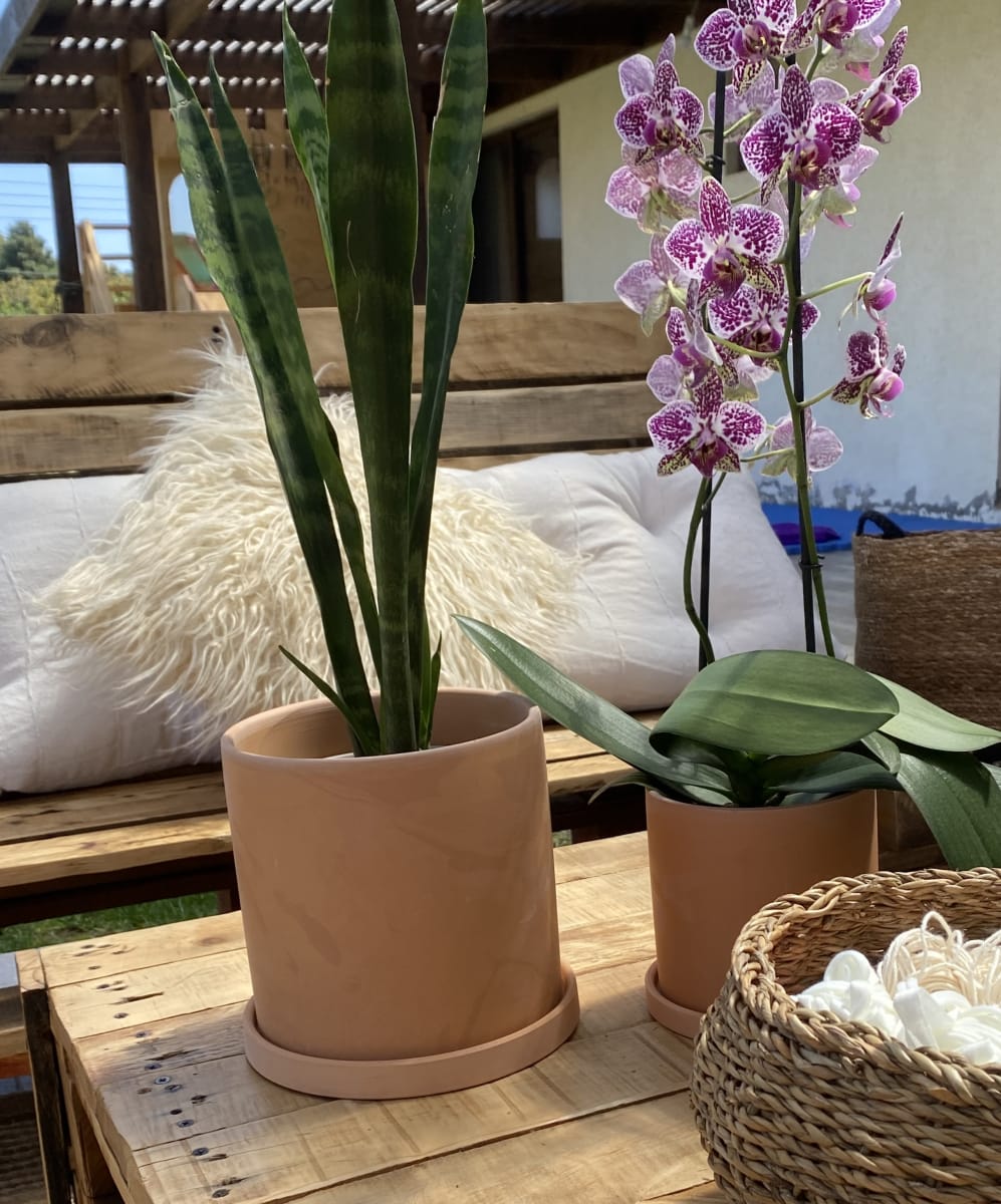 Set 2 Maceteros Terracota Cilindro S 13x13x13cm + L 18x18x18cm3