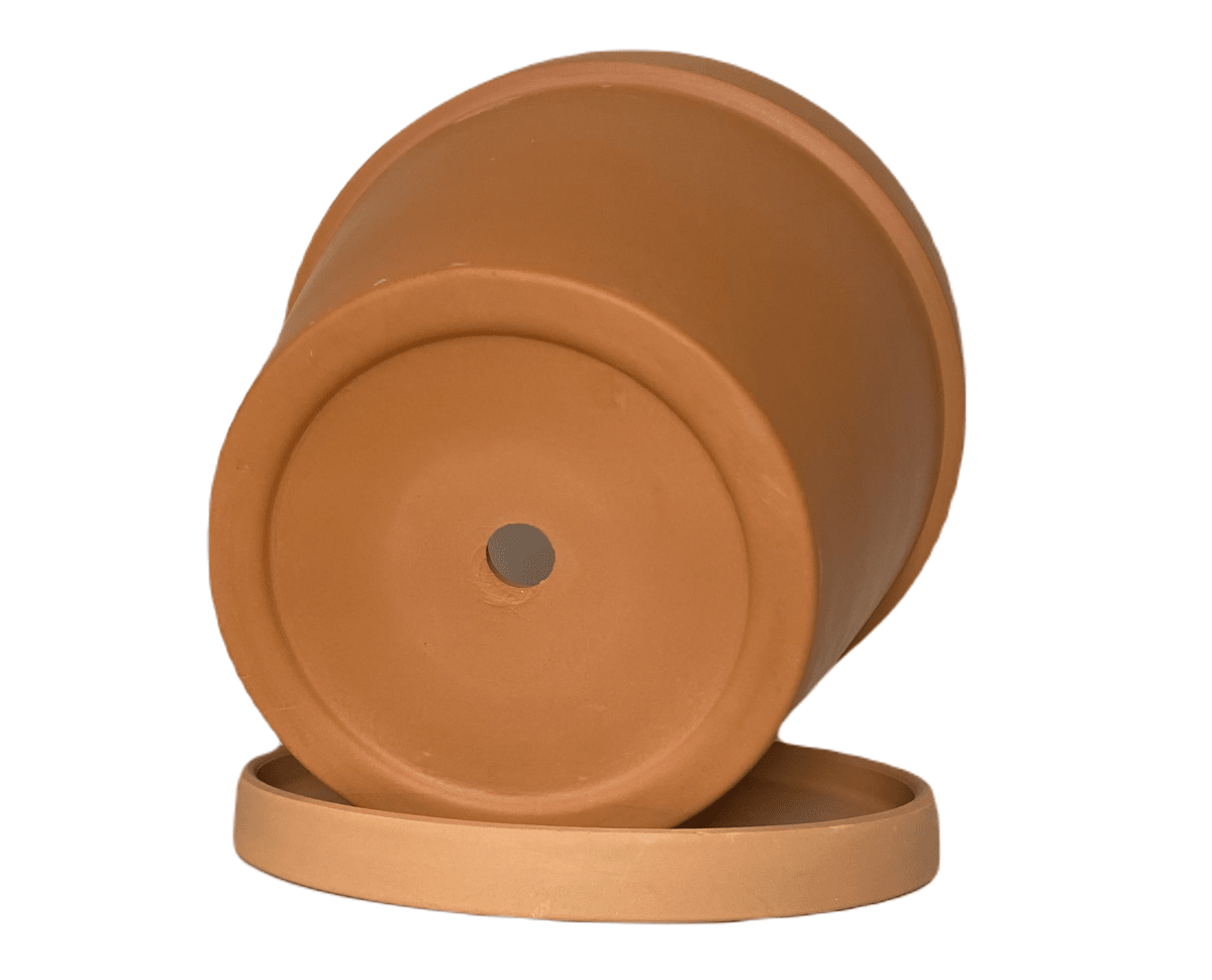 Macetero Terracota Clasica M 22X22X20 cm2