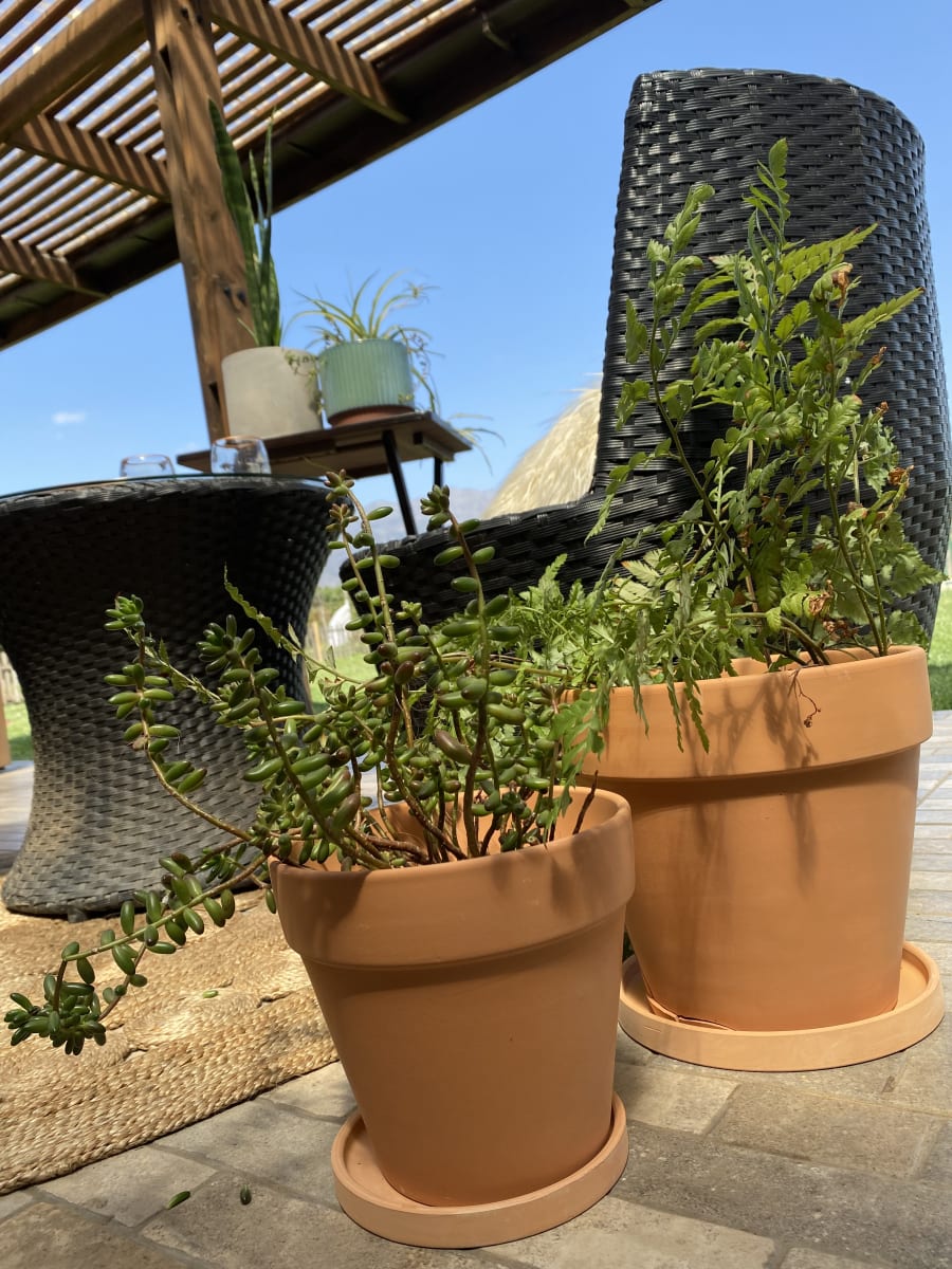 Set 2 Maceteros Terracota Clásico S 18X18X16cm y M 22X22X18 cm4