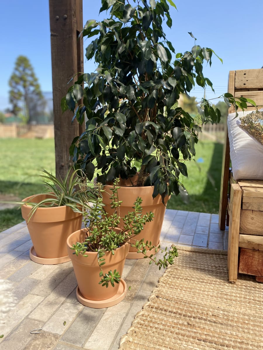 Set 2 Maceteros Terracota Clásico S 18x18x16cm y M 22x22x20cm6